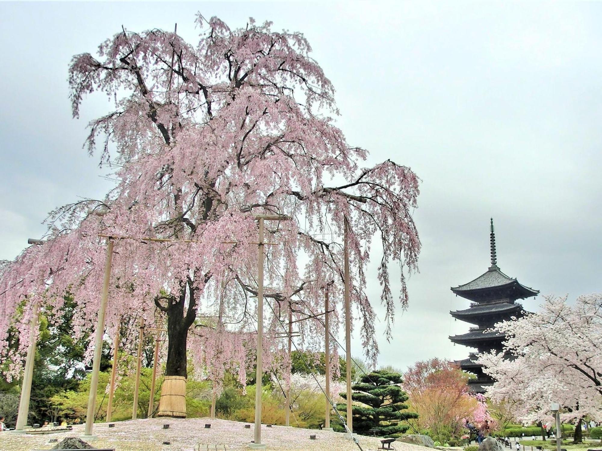 Stay Sakura Kyoto Higashi Hongan-Ji I Exterior photo